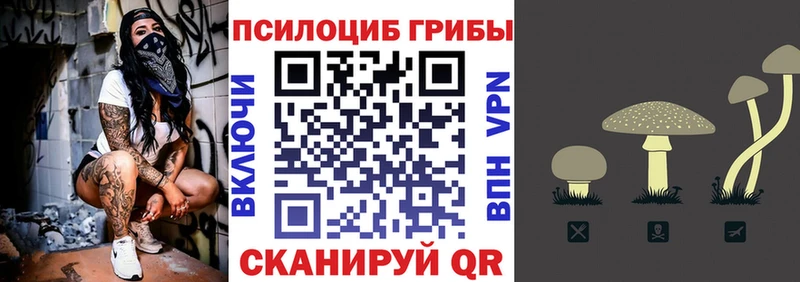 блэк спрут как зайти  закладка  Лихославль  Галлюциногенные грибы Magic Shrooms 